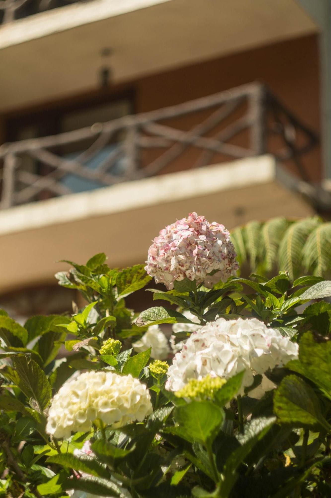 Aldea Real Eco Friendly Hotel Baños Екстериор снимка
